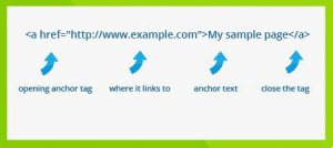 استخدام أنكور تيكست